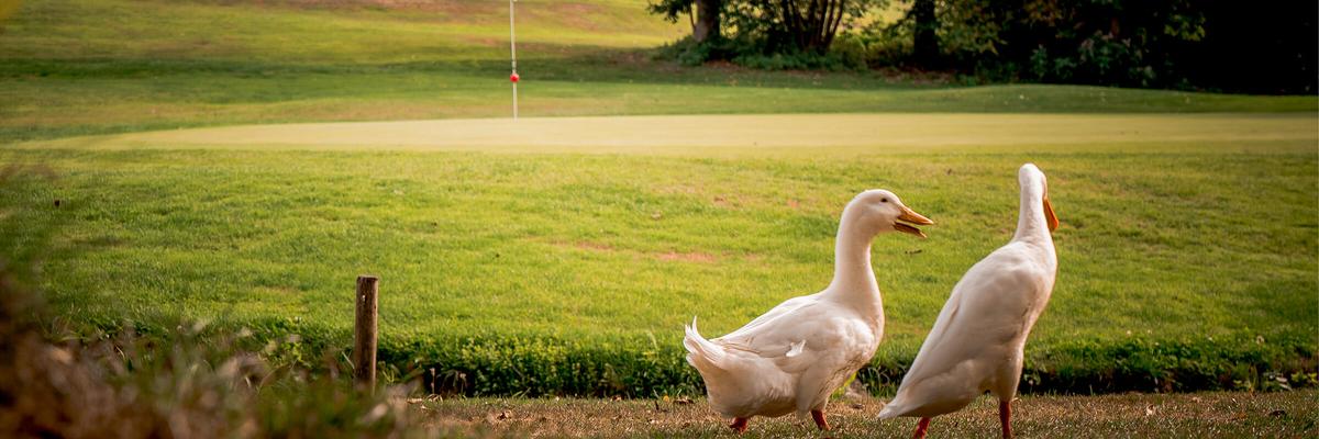 Golf&Natur